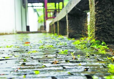 苏州梅雨季节是几月份