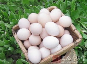 鹅蛋的好处有哪些 鹅蛋的功效和作用有什么