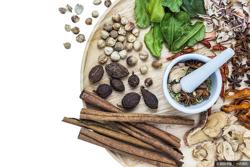 顶真是什么意思