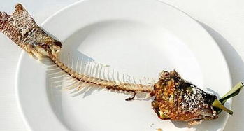 什么鱼刺少比较好吃?