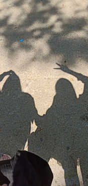 我想出去走一走带上梦想和美酒是什么歌?