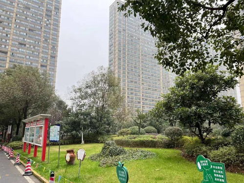 / 房屋面积= 3300左右 现在购买拆迁安置房的价格是3600