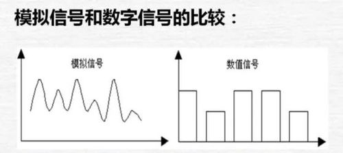 数字量是什么意思