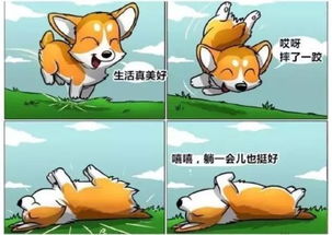 比喻心情好的唯美诗句