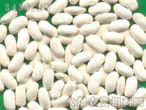 四豆饮是哪四种豆