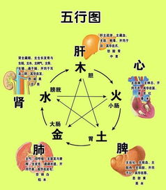 疏是什么意思