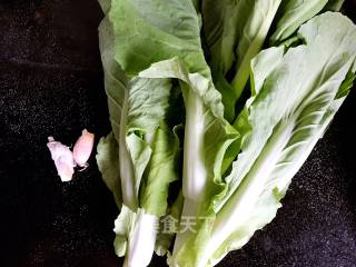 白菜苔的品种特性
