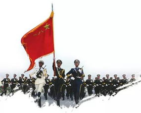 去当兵需要什么条件