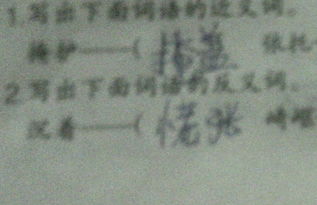 “崎岖”的反义词是什么?