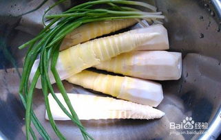 春笋与冬笋有什么区别