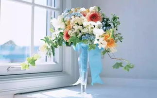 什么花适合养在室内?