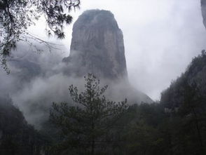 天下美景,解是什么生肖?