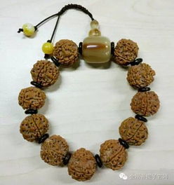 金刚菩提可以用油么嘛