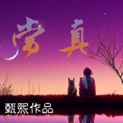 当真歌词是怎样的?