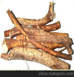 五指毛桃根的功效和营养价值有哪些?如何食用?