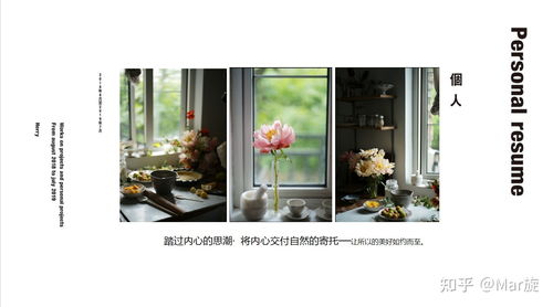 品牌介绍文案 品牌介绍文案怎么写