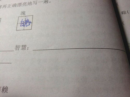 iq是什么意思?
