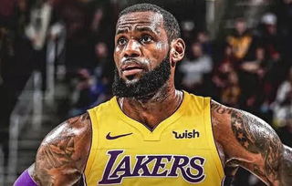 詹姆斯的logo是什么