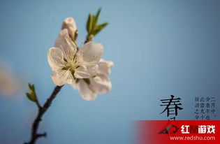 什么是“春分、夏至、秋分、冬至”?