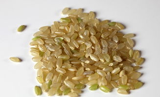 糙米的营养价值有哪些呢