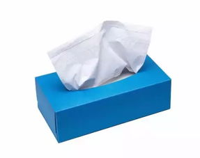 餐巾纸用英语怎么说