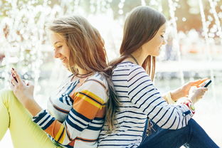 草木之中有一人打一字草木之中有个人打一字