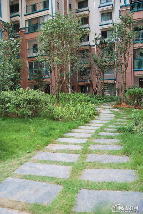 在长沙环保学院去星沙蝴蝶谷如何坐公交车?