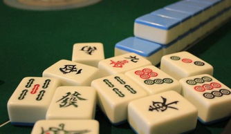 不会打麻将,怎麼学