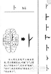 卜字怎么组词 卜字如何组词