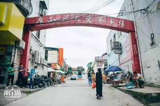 南宁有哪些花鸟市场,具体位置?