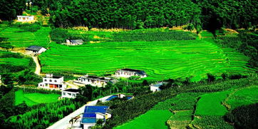 兴文撤县设市是真的吗