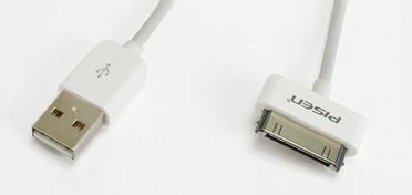 苹果数据线没坏就是充不上电