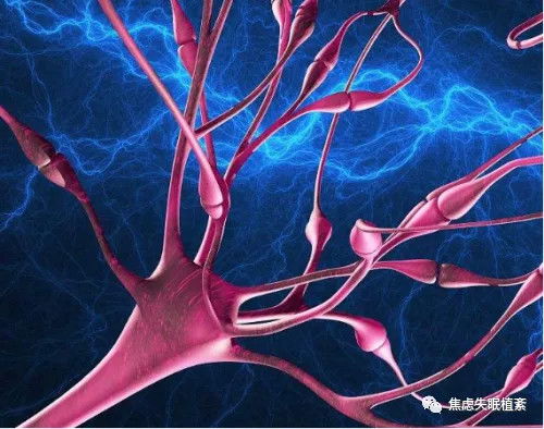 植物神经紊乱会自愈吗?