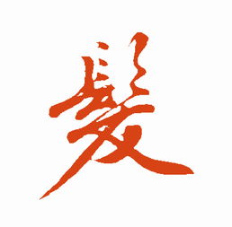 发字田字格怎么写图片
