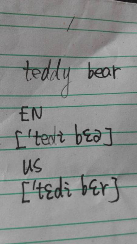 熊的英语bear读音是什么?