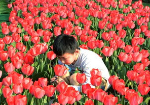 万花丛中一点绿形容什么男人?