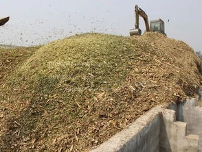 简单的青贮饲料方法