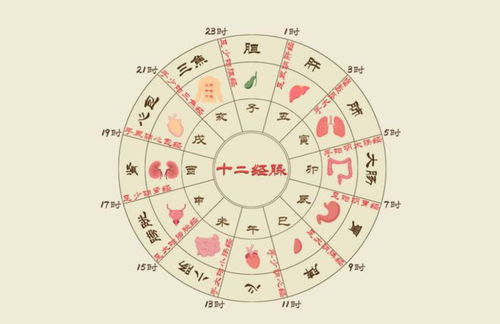 零晨五点是什么时辰