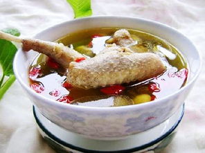 鸽子汤的营养价值及功效有哪些