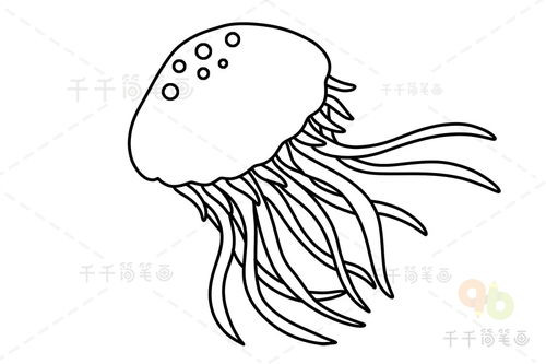 水母是怎么画?快速画出漂亮水母
