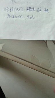 珍惜反义词是什么