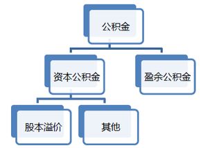 资本公积是什么意思