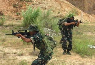 雇佣兵是干什么的?