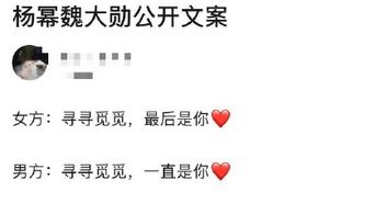 寻寻觅觅的意思 寻寻觅觅的含义