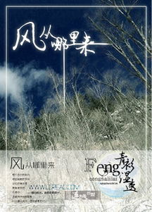 风从哪里来 风是自然现象