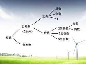 什么叫因数? 什么叫倍数?