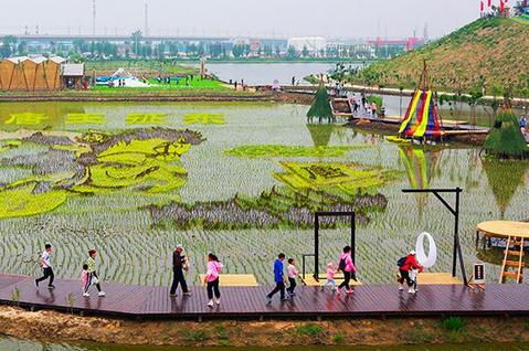 《田园大唐》txt全集下载