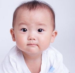 兔年男孩起名字大全