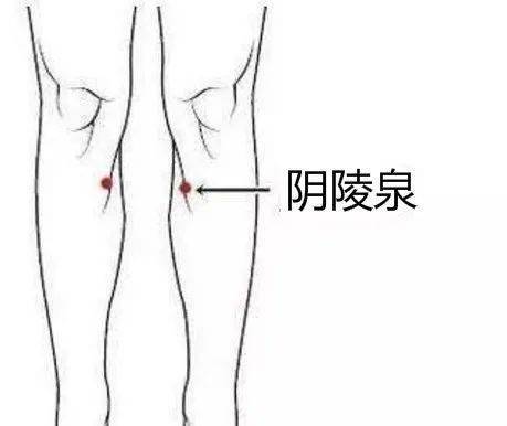 什么中成药补肺?