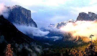 “一叶障目,不见泰山”的意思